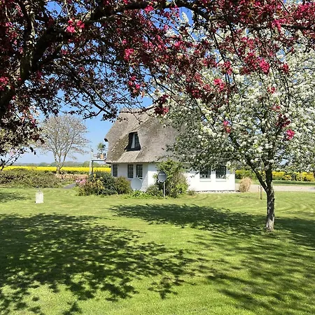 Villa 343 M² Ferienidylle Mit Privatstrand Skovmose