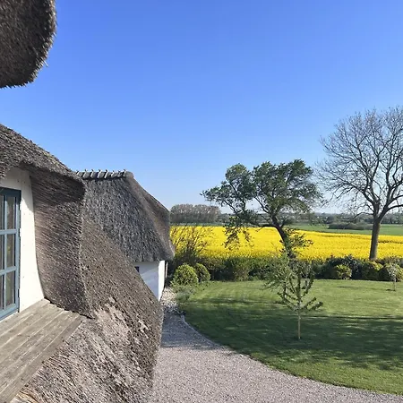343 M² Ferienidylle Mit Privatstrand Villa Skovmose
